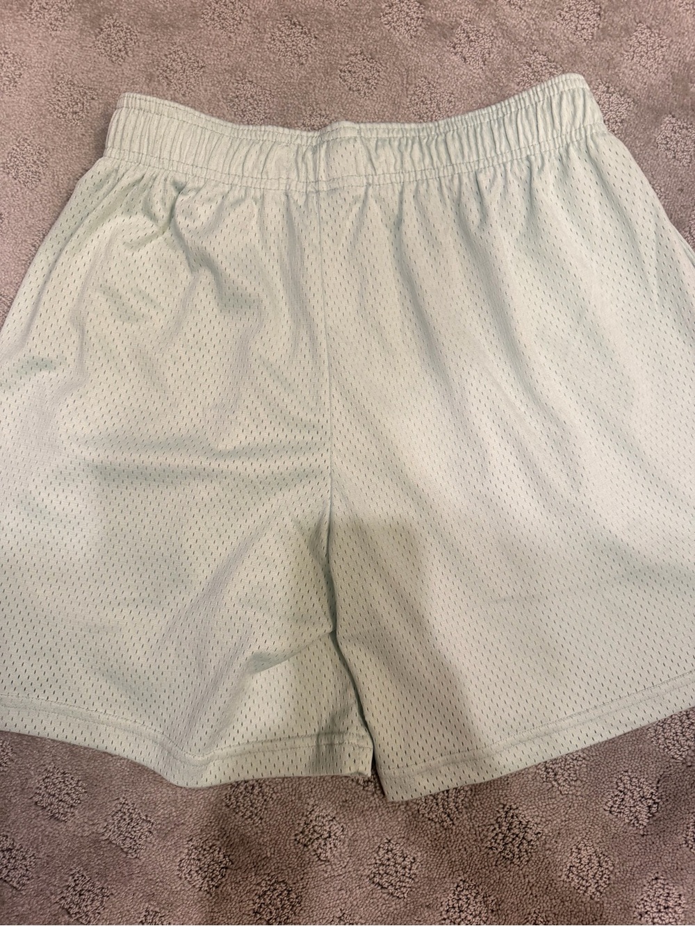 Authentic Eric Emanuel Light Mint Mesh Athletic Shorts